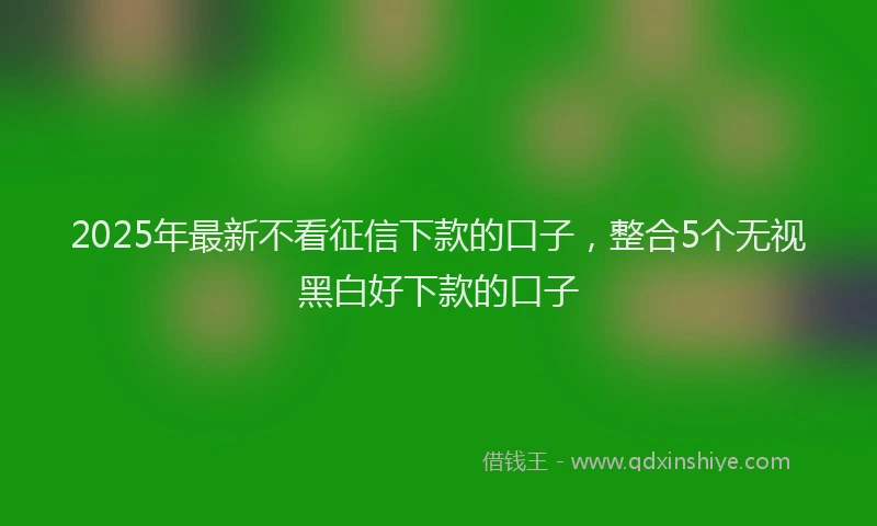 2025年最新不看征信下款的口子，整合5个无视黑白好下款的口子