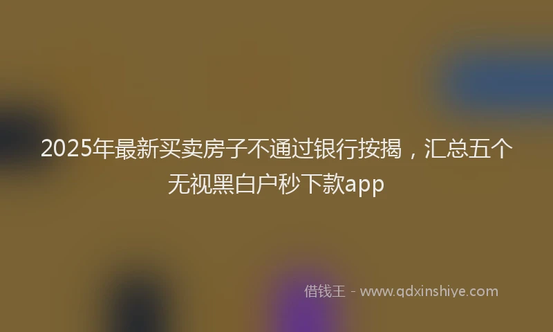 2025年最新买卖房子不通过银行按揭，汇总五个无视黑白户秒下款app