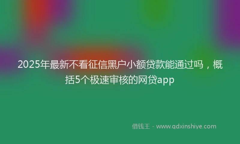 2025年最新不看征信黑户小额贷款能通过吗，概括5个极速审核的网贷app