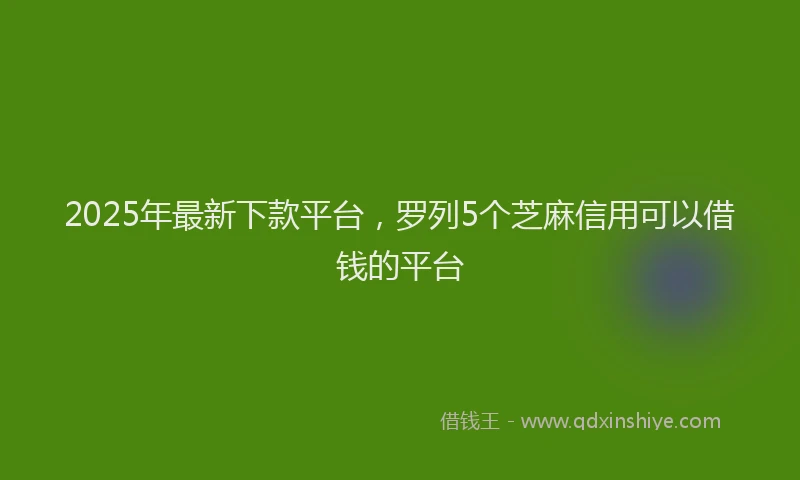 2025年最新下款平台，罗列5个芝麻信用可以借钱的平台