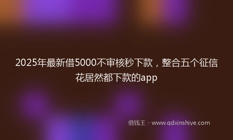 2025年最新借5000不审核秒下款，整合五个征信花居然都下款的app
