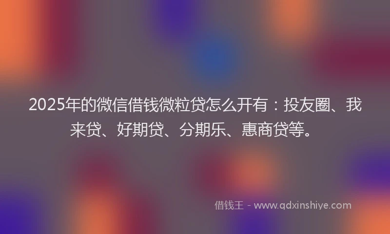 2025年的微信借钱微粒贷怎么开有：投友圈、我来贷、好期贷、分期乐、惠商贷等。