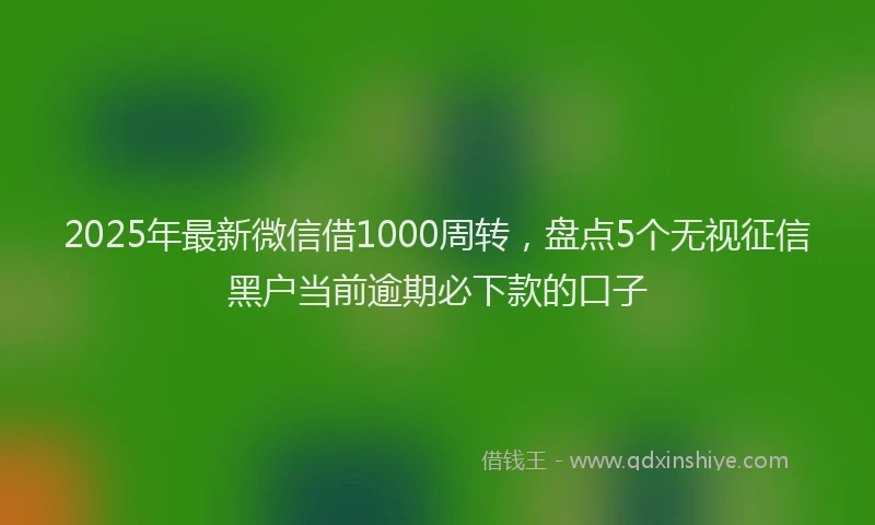 2025年最新微信借1000周转，盘点5个无视征信黑户当前逾期必下款的口子