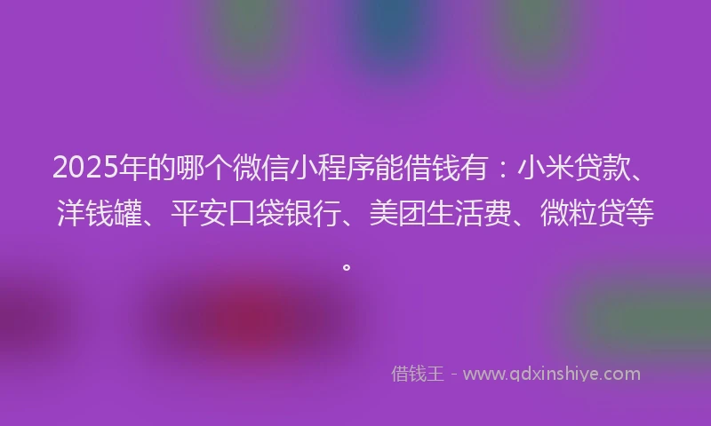 2025年的哪个微信小程序能借钱有：小米贷款、洋钱罐、平安口袋银行、美团生活费、微粒贷等。