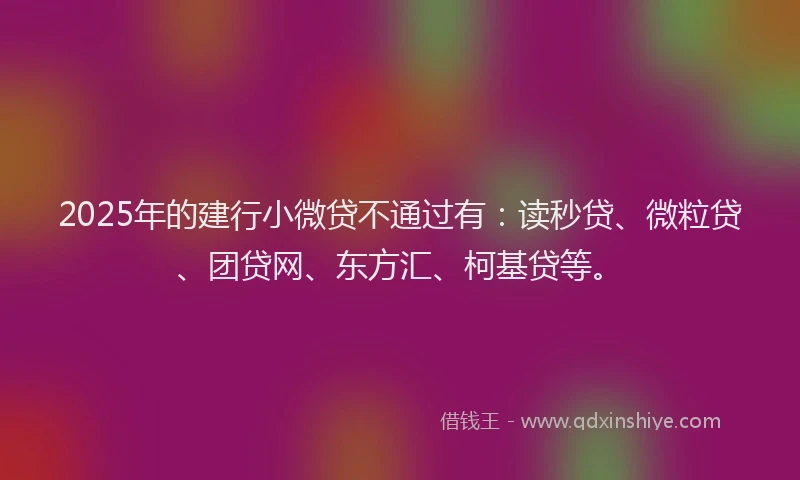 2025年的建行小微贷不通过有：读秒贷、微粒贷、团贷网、东方汇、柯基贷等。