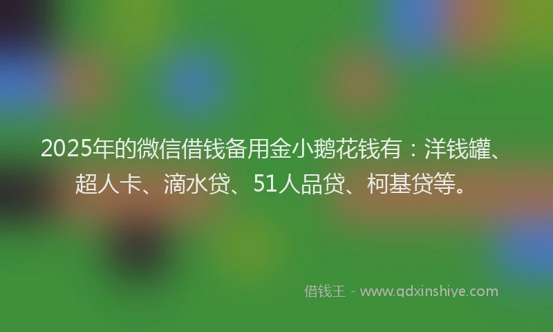 2025年的微信借钱备用金小鹅花钱有：洋钱罐、超人卡、滴水贷、51人品贷、柯基贷等。