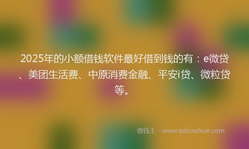 2025年的小额借钱软件最好借到钱的有：e微贷、美团生活费、中原消费金融、平安i贷、微粒贷等。