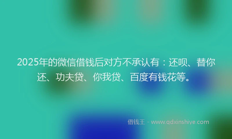 2025年的微信借钱后对方不承认有：还呗、替你还、功夫贷、你我贷、百度有钱花等。