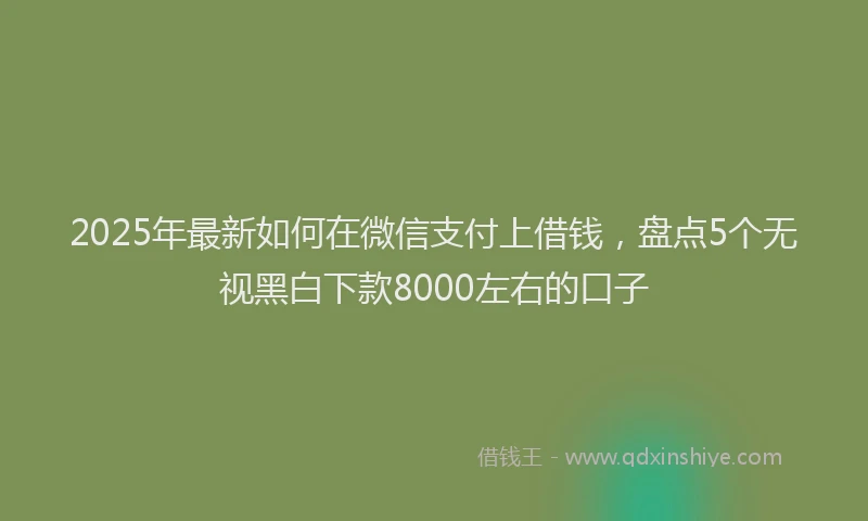 2025年最新如何在微信支付上借钱，盘点5个无视黑白下款8000左右的口子