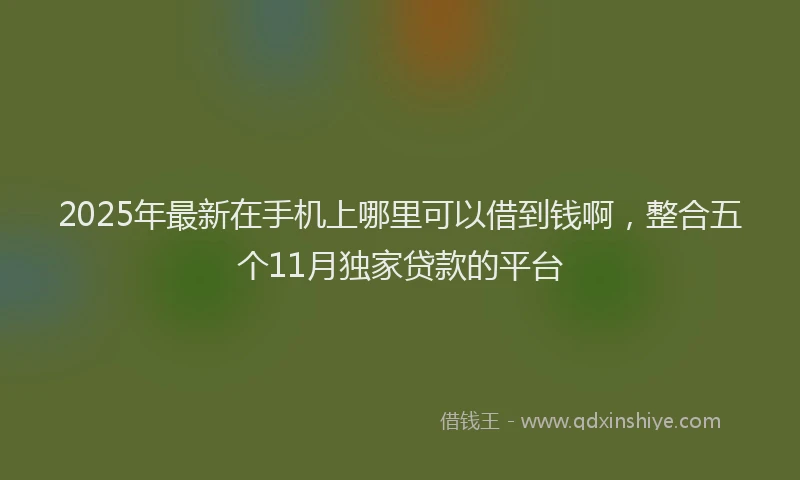 2025年最新在手机上哪里可以借到钱啊，整合五个11月独家贷款的平台