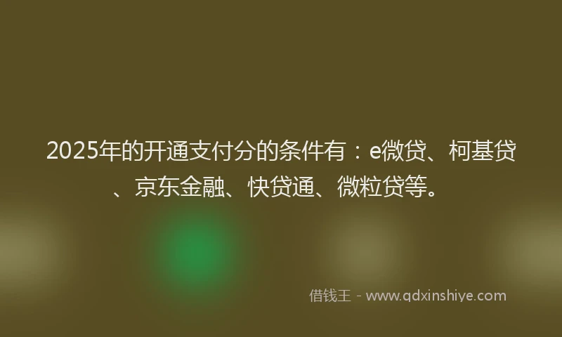 2025年的开通支付分的条件有：e微贷、柯基贷、京东金融、快贷通、微粒贷等。