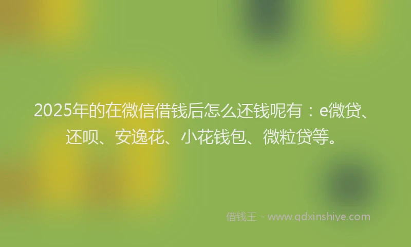 2025年的在微信借钱后怎么还钱呢有：e微贷、还呗、安逸花、小花钱包、微粒贷等。