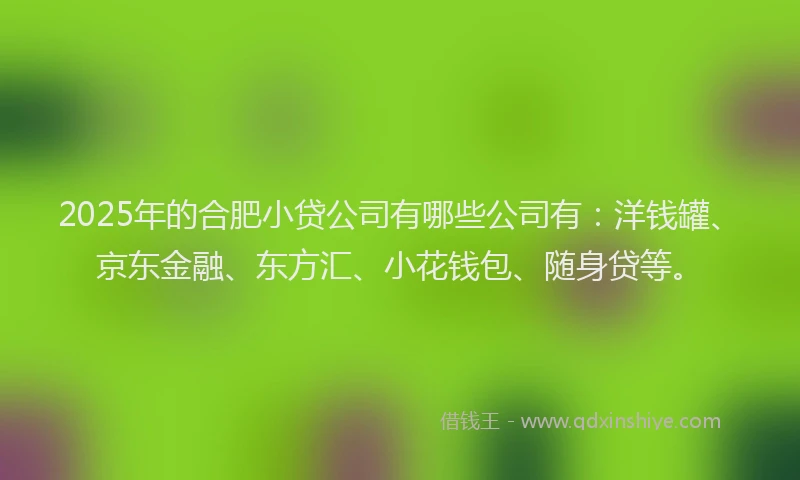 2025年的合肥小贷公司有哪些公司有：洋钱罐、京东金融、东方汇、小花钱包、随身贷等。