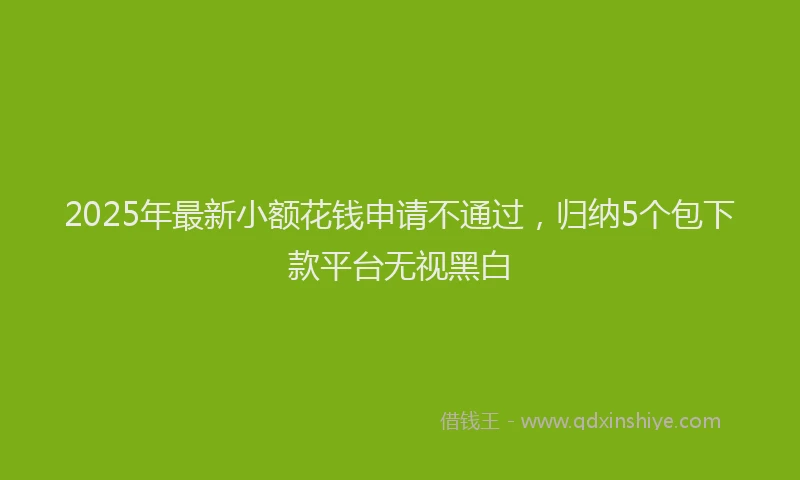 2025年最新小额花钱申请不通过，归纳5个包下款平台无视黑白