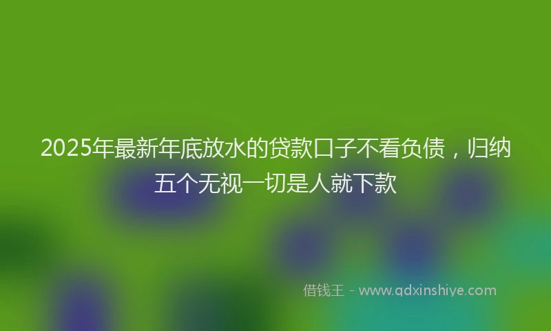 2025年最新年底放水的贷款口子不看负债，归纳五个无视一切是人就下款