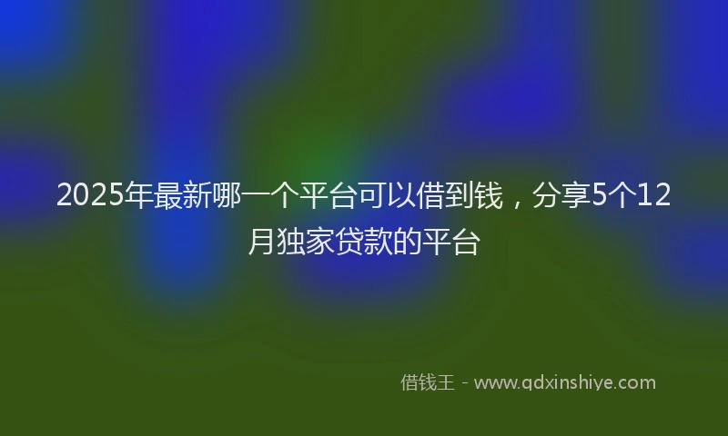 2025年最新哪一个平台可以借到钱，分享5个12月独家贷款的平台