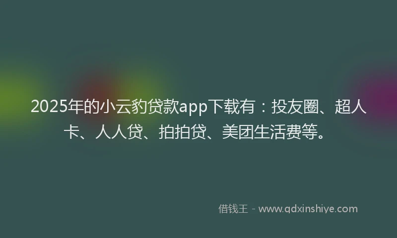 2025年的小云豹贷款app下载有：投友圈、超人卡、人人贷、拍拍贷、美团生活费等。