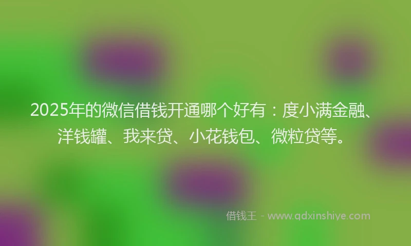 2025年的微信借钱开通哪个好有：度小满金融、洋钱罐、我来贷、小花钱包、微粒贷等。