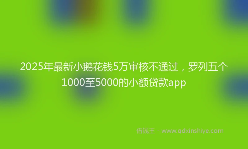 2025年最新小鹅花钱5万审核不通过，罗列五个1000至5000的小额贷款app