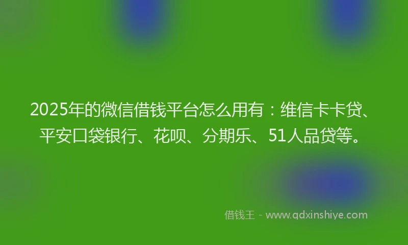 2025年的微信借钱平台怎么用有：维信卡卡贷、平安口袋银行、花呗、分期乐、51人品贷等。