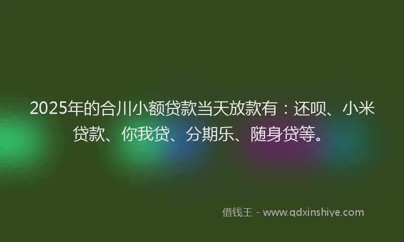 2025年的合川小额贷款当天放款有：还呗、小米贷款、你我贷、分期乐、随身贷等。