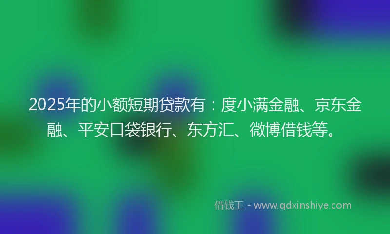 2025年的小额短期贷款有：度小满金融、京东金融、平安口袋银行、东方汇、微博借钱等。