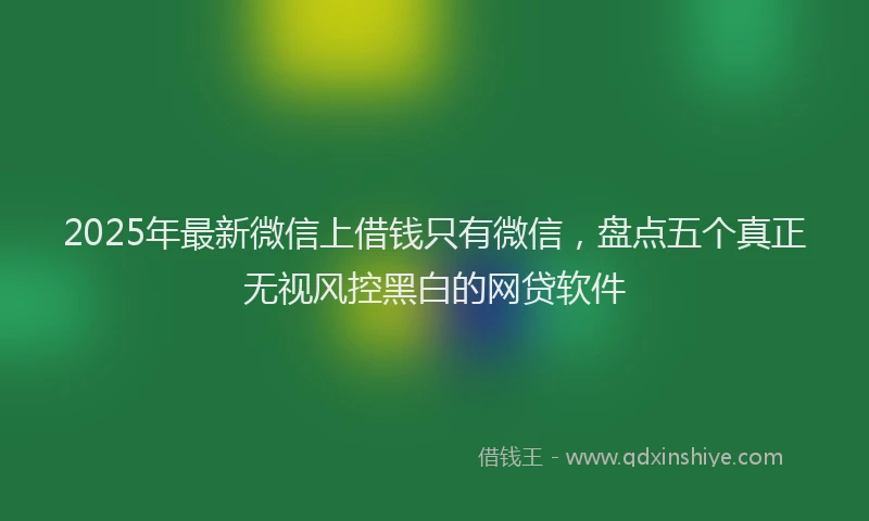 2025年最新微信上借钱只有微信，盘点五个真正无视风控黑白的网贷软件