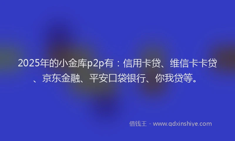 2025年的小金库p2p有：信用卡贷、维信卡卡贷、京东金融、平安口袋银行、你我贷等。
