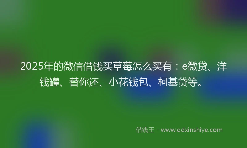 2025年的微信借钱买草莓怎么买有：e微贷、洋钱罐、替你还、小花钱包、柯基贷等。