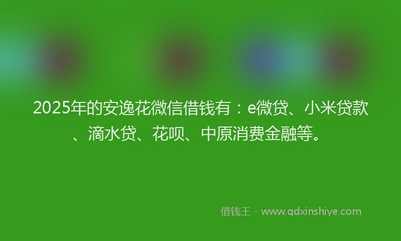 2025年的安逸花微信借钱有：e微贷、小米贷款、滴水贷、花呗、中原消费金融等。