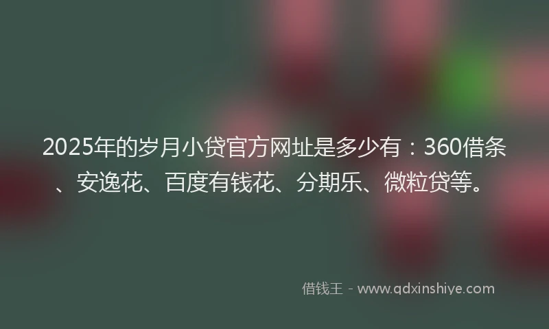 2025年的岁月小贷官方网址是多少有：360借条、安逸花、百度有钱花、分期乐、微粒贷等。