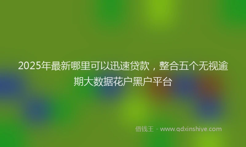 2025年最新哪里可以迅速贷款，整合五个无视逾期大数据花户黑户平台
