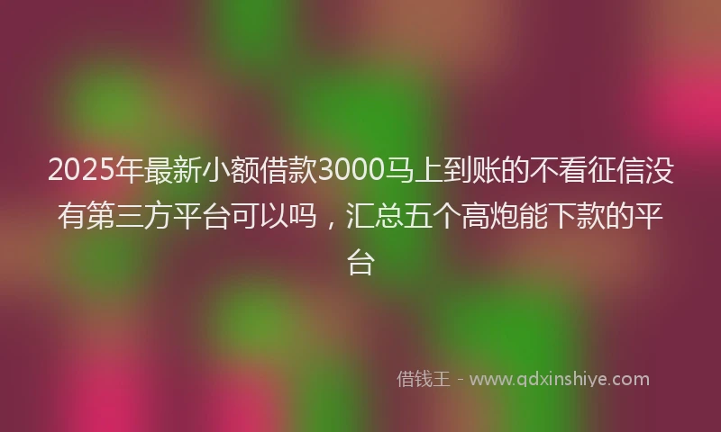 2025年最新小额借款3000马上到账的不看征信没有第三方平台可以吗，汇总五个高炮能下款的平台