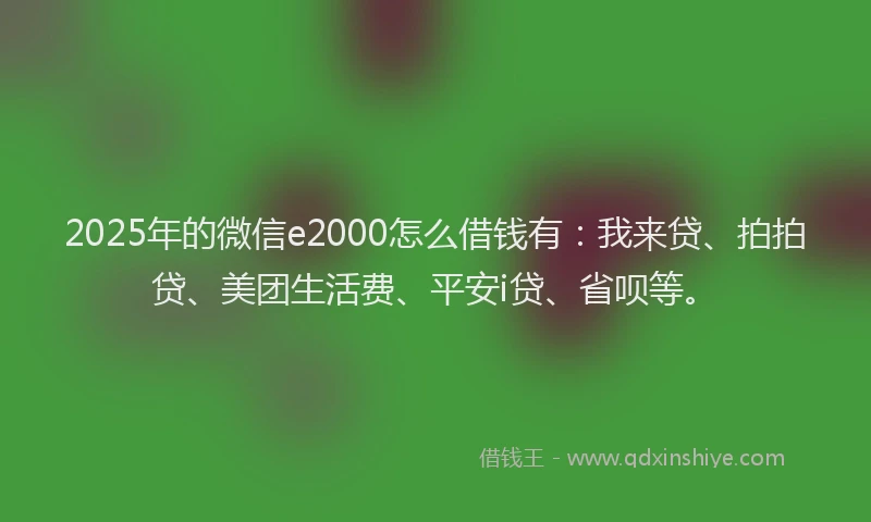 2025年的微信e2000怎么借钱有：我来贷、拍拍贷、美团生活费、平安i贷、省呗等。