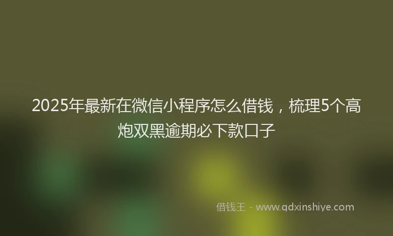 2025年最新在微信小程序怎么借钱，梳理5个高炮双黑逾期必下款口子