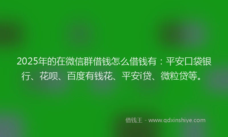 2025年的在微信群借钱怎么借钱有：平安口袋银行、花呗、百度有钱花、平安i贷、微粒贷等。