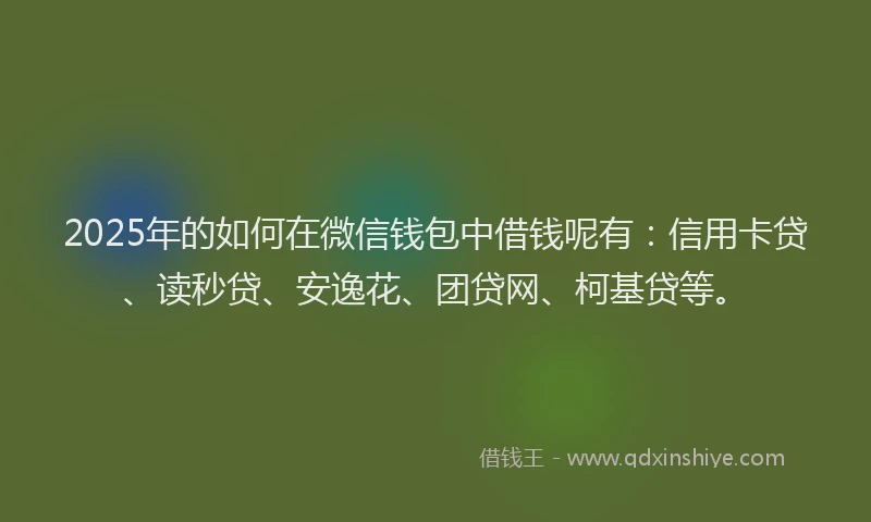 2025年的如何在微信钱包中借钱呢有：信用卡贷、读秒贷、安逸花、团贷网、柯基贷等。