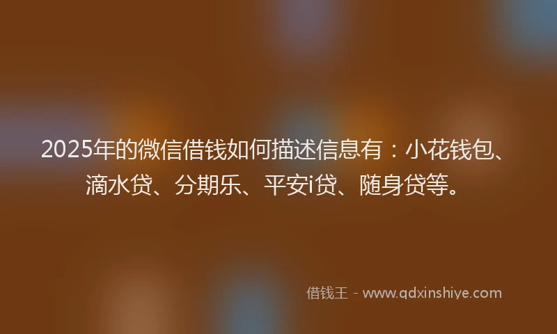 2025年的微信借钱如何描述信息有：小花钱包、滴水贷、分期乐、平安i贷、随身贷等。