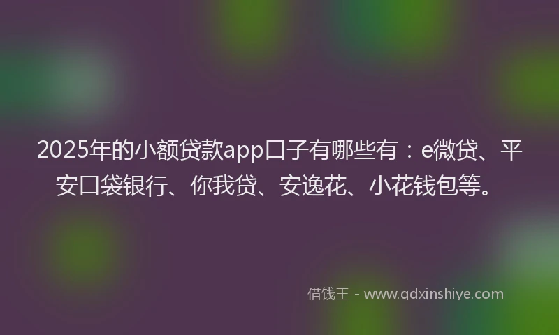 2025年的小额贷款app口子有哪些有：e微贷、平安口袋银行、你我贷、安逸花、小花钱包等。