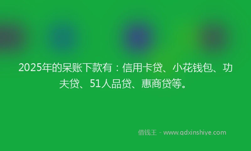 2025年的呆账下款有：信用卡贷、小花钱包、功夫贷、51人品贷、惠商贷等。