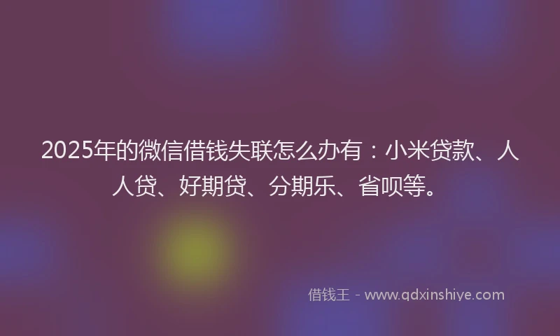 2025年的微信借钱失联怎么办有：小米贷款、人人贷、好期贷、分期乐、省呗等。