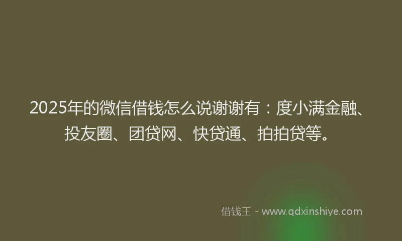 2025年的微信借钱怎么说谢谢有：度小满金融、投友圈、团贷网、快贷通、拍拍贷等。