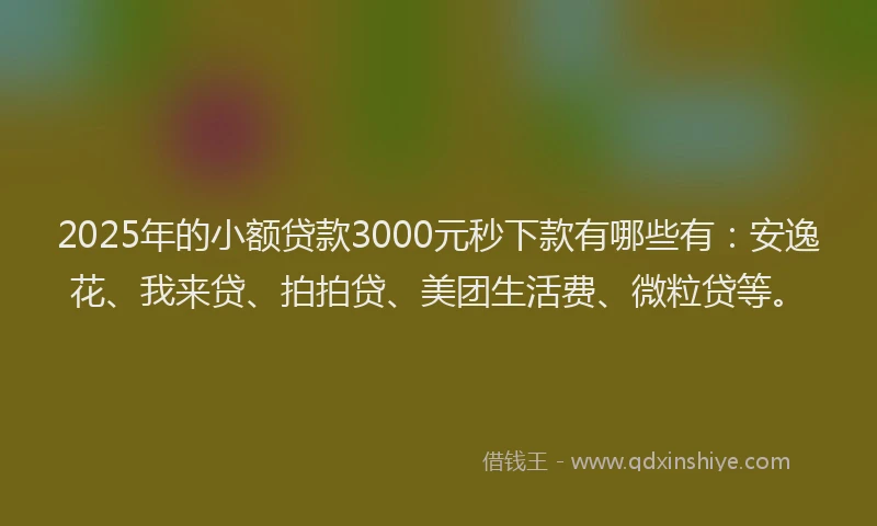 2025年的小额贷款3000元秒下款有哪些有：安逸花、我来贷、拍拍贷、美团生活费、微粒贷等。