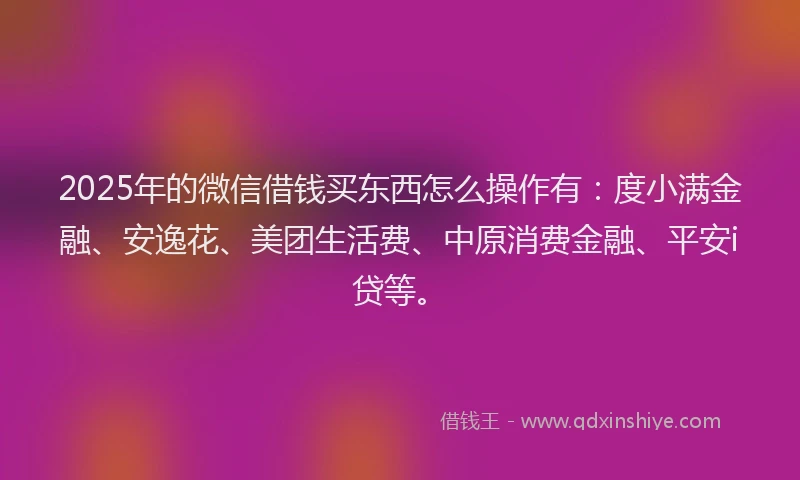 2025年的微信借钱买东西怎么操作有：度小满金融、安逸花、美团生活费、中原消费金融、平安i贷等。