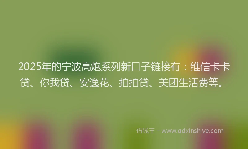 2025年的宁波高炮系列新口子链接有：维信卡卡贷、你我贷、安逸花、拍拍贷、美团生活费等。