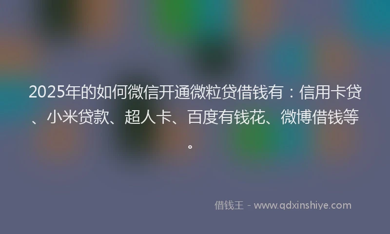 2025年的如何微信开通微粒贷借钱有：信用卡贷、小米贷款、超人卡、百度有钱花、微博借钱等。