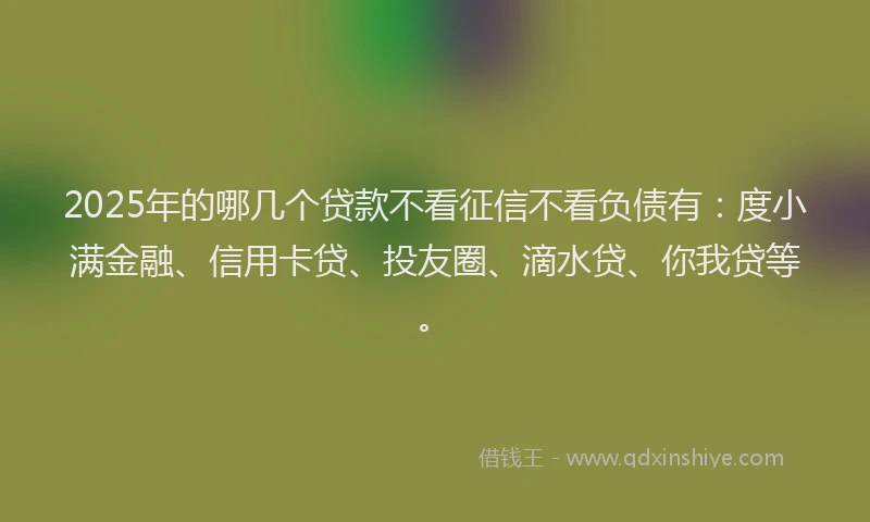 2025年的哪几个贷款不看征信不看负债有：度小满金融、信用卡贷、投友圈、滴水贷、你我贷等。