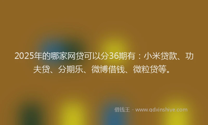 2025年的哪家网贷可以分36期有：小米贷款、功夫贷、分期乐、微博借钱、微粒贷等。