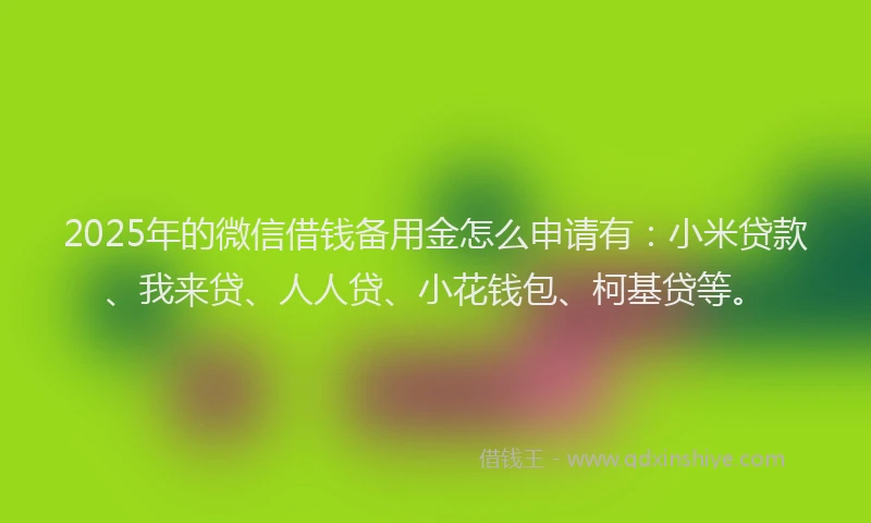 2025年的微信借钱备用金怎么申请有：小米贷款、我来贷、人人贷、小花钱包、柯基贷等。