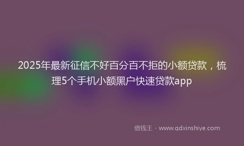 2025年最新征信不好百分百不拒的小额贷款，梳理5个手机小额黑户快速贷款app